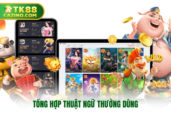 Tổng hợp thuật ngữ thường dùng